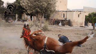 تدريب مجازف و حصان على السقوط لمصمم المعارك معد ورد Training a stuntman and a horse to fall