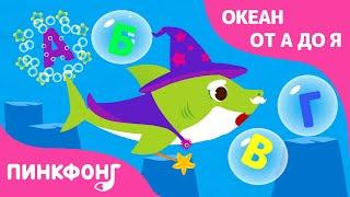 Океан от А до Я | Пойте с Акулёнком | Русский язык | Пинкфонг Песни для Детей