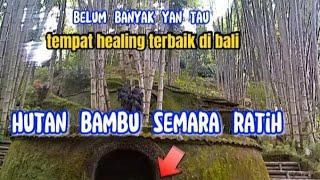 hutan bambu semara ratih || wisata alam bali