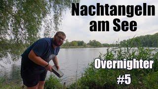 In der Nacht auf Schleie und Co angeln // Overnighter #5 August