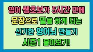 미친척하고 몰아보는 신기한 영어 뇌 만들기 시즌1