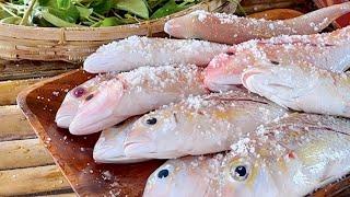 GINATAANG ISDA I JOSEPH THE EXPLORER