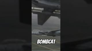 The F-14 "Bombcat" #f14 #bombcat