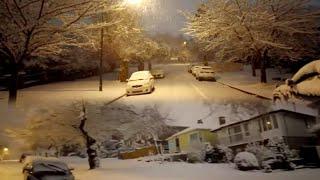   4K  ️️️ Extreme snow storm in Vancouver, BC Canada