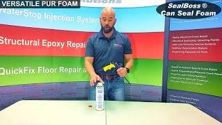 Expandable Professional Polyurethane Dispensing Gun Foam CanSealFoam SealBoss