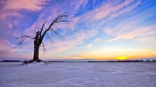 [1 Hour] Healing Music of Tambura for Third Eye Chakra Opening | Meditation Music | Taanpura Sounds