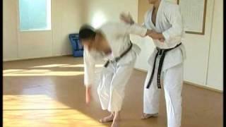 Andre Bertel - Karate Master