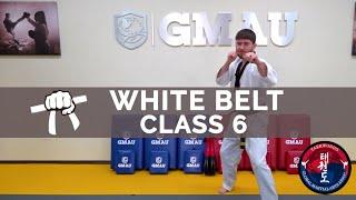 Taekwondo Follow Along Class - White Belt - Class #6