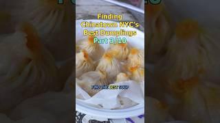 I Found Chinatown NYC’s Best Soup Dumplings!