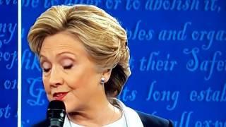 A FLY land's on Hillary Clinton's face during the Debate