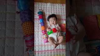 최애 장남감 / 이현이 성장일기