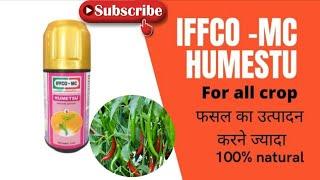 What is the best insecticide for chili?मिर्च के लिए सबसे अच्छा कीटनाशक #lokeshagrohub #agriculture