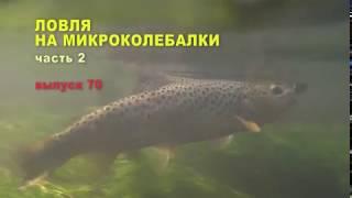 Ловля на микроколебалки. Часть 2
