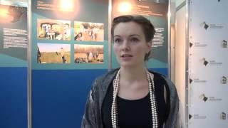 Церемония награждения лауреатов премии Губернатора Московской области «Наше Подмосковье»
