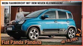 Fiat Pandina im Test (2025) Mein Fahrbericht mit dem NEUEN Panda Kleinwagen ab 18.290€! Review | POV