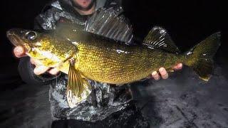 HAMMERING Walleyes Non-Stop After Dark Ice Fishing! (INSANE BITE)