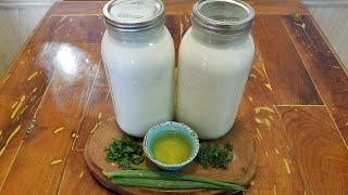 Simple Farmer's Cheese Made From Goat Milk