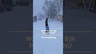 NORVEÇ'TE BİR PAZAR- HAYAT BANA NASIL GÜZEL ? - AÇIKLAMAYI OKU#norwaytodayy #norway #vlog