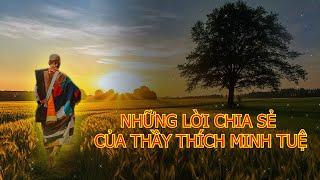 Những tâm tư của Thầy Thích Minh Tuệ