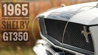 Jordon Harrison's 1965 Mustang Shelby GT350 - Best sounding car ever!