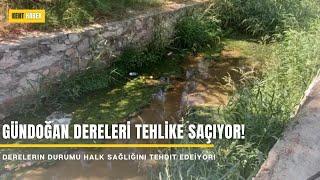 GÜNDOĞAN DERELERİ TEHLİKE SAÇIYOR!