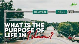 What is the Purpose of Life in Islam? | Quranic Insights on Life’s Meaning #PurposeOfLife