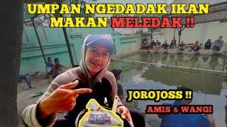 REKOMENDASI UMPAN DADAKAN UNTUK IKAN RAME DARI PA IKIN WANGI !! INI DIA BAHAN YANG DIGUNAKAN !!