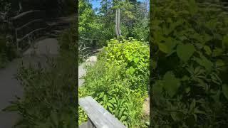 Coastal Maine gardens. It’s a pretty cool place. Pretty trees and water are my thing