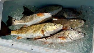 Catching Redfish in Savannah GA - Try These Tips