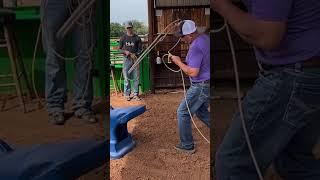 HIT THAT SUBSCRIBE BUTTON FOR MORE ROPE #teamroping #horse #equestrian #cowboys #fyp #horseofyoutube