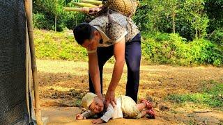 The miserable life of a single father and his young son - picking sugarcane to sell