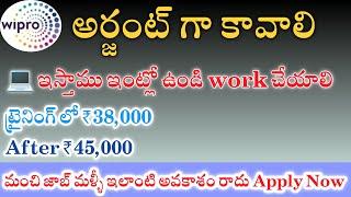 Wipro Recruitment 2025 | Job in Hyderabad | M Tube Jobs | Telugu | Direct Job | work from home 2025