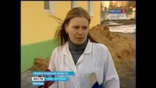 Тюлень Жива в Центре Велес