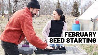 February vegetable seed starting (zone 7) plus garden and seedling updates // GroundedHavenHomestead