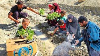 Salahadin Helps Settle Usoldin in the Mountains with Water Tank, Solar Panel, and Garden Prep