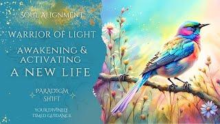 PARADIGM SHIFT  THIS RELEASE IS BRINGING IN A BLESSING  THE FREEDOM YOUR ANCESTORS DREAMED OF 