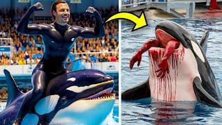 This HORRIFIC Orca Attack On SeaWorld Trainer John Sillick SHOOK The World