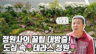 [ SUB ] 작지만 알차다! 테라스 정원 A Beautiful Terrace Garden | 정원의 발견 Wonders of Garden | KBS제주20230421방송