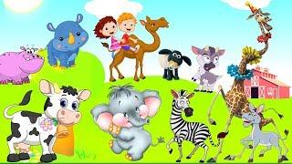 The sound of funny animals for children | The name and sound of herbivores