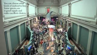 NMNH Turns Into Grand Central Station With Flash Mob