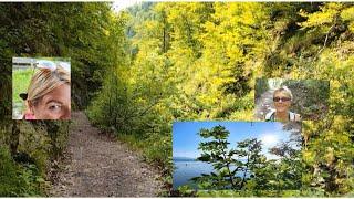 Wandern zur Harbach Alm ️  Chiemsee • Leben im Chiemgau