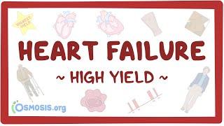 Heart failure: Pathology review
