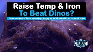 Raise Temperature & Iron to Beat Dinos? Jake Adams & Chris Meckley, Rappin' With ReefBum Sound Bite