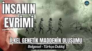 İnsanın Evrimi | Belgesel | Türkçe | İnsanlığın Destansı Yolculuğu | İlkel Genetik Maddenin Oluşumu