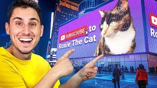 I Got My Cat a Times Square Billboard!