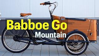 Babboe Go Mountain E-Lastenrad im Kurz-Test