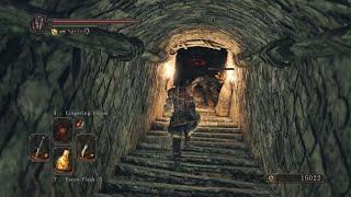 Dark Souls 2 - A Typical Dark Souls 2 Ragdoll