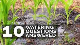 10 Ways to Water Your Garden Better