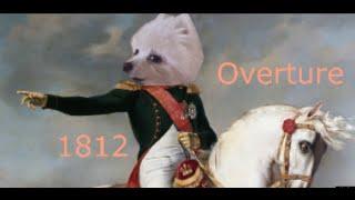 Gabe the dog - 1812 Overture (Tchaikovsky)