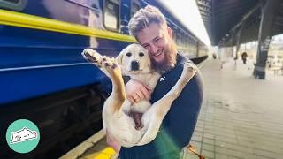 Spoiled Lab Steals Woman's Husband. But She Doesn't Mind! | Cuddle Buddies